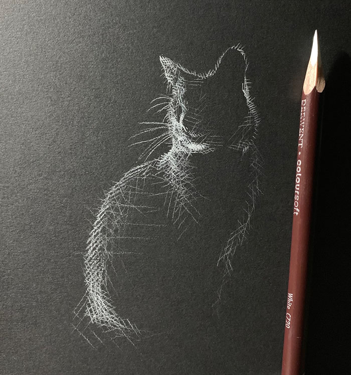 White Pencil Black Paper Drawings By Kay Lee