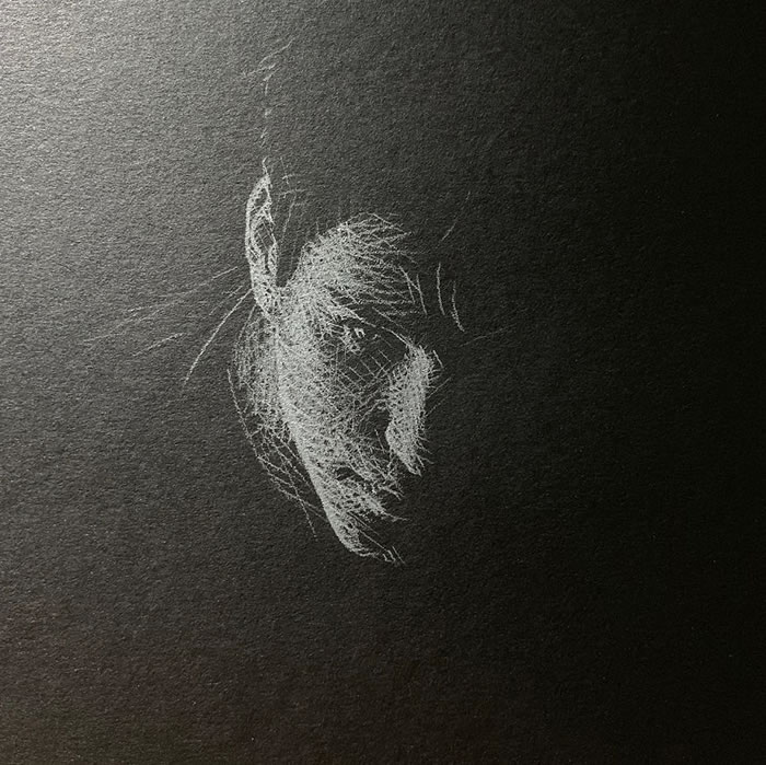 Artist Kay Lee Creates Incredible Drawings With White Pencil On Black Paper