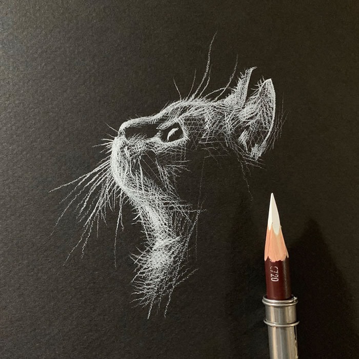 Artist Kay Lee Creates Incredible Drawings With White Pencil On Black Paper