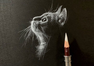 White Pencil Black Paper Drawings By Kay Lee