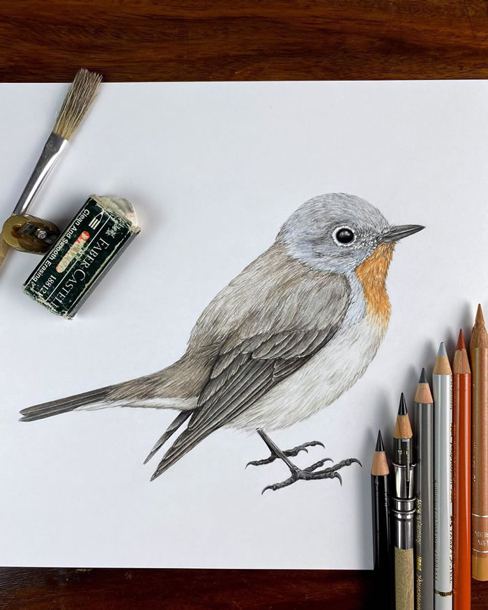 Beautiful Pencil Art By Nikolas Kuhlen