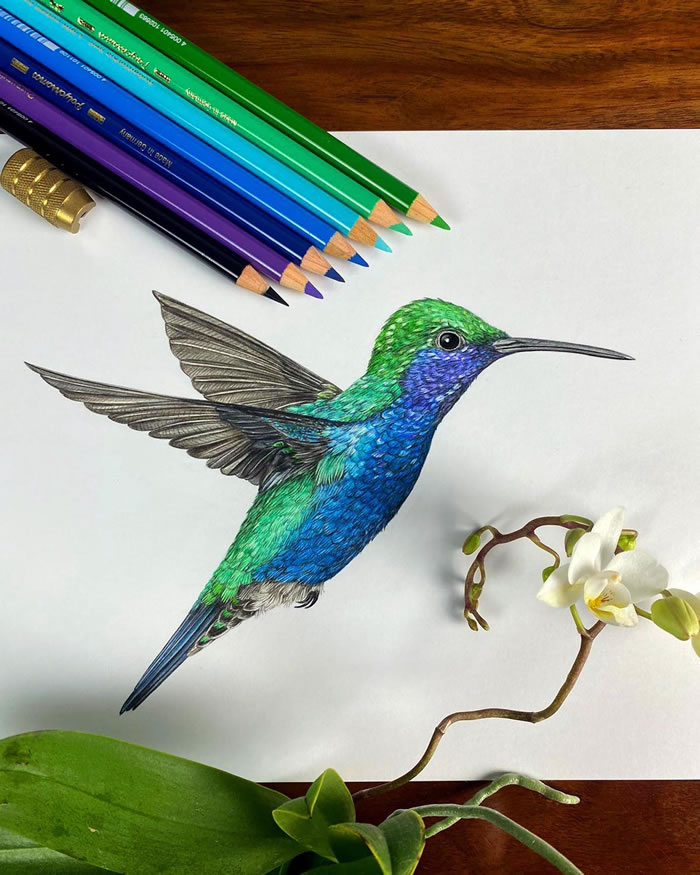I've Been Drawing Birds For 3 Years, Here Are The 10 Benefits I've Noticed  | Bored Panda