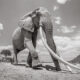 Final Photos Of The Elephants By Will Burrard-Lucas