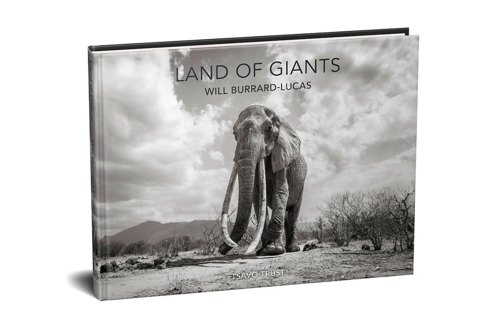 Final Photos Of The Elephants By Will Burrard-Lucas