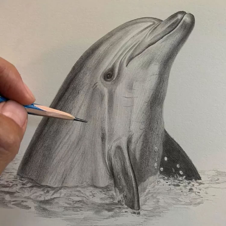 Realistic Pencil Drawings By Kozue Oshima