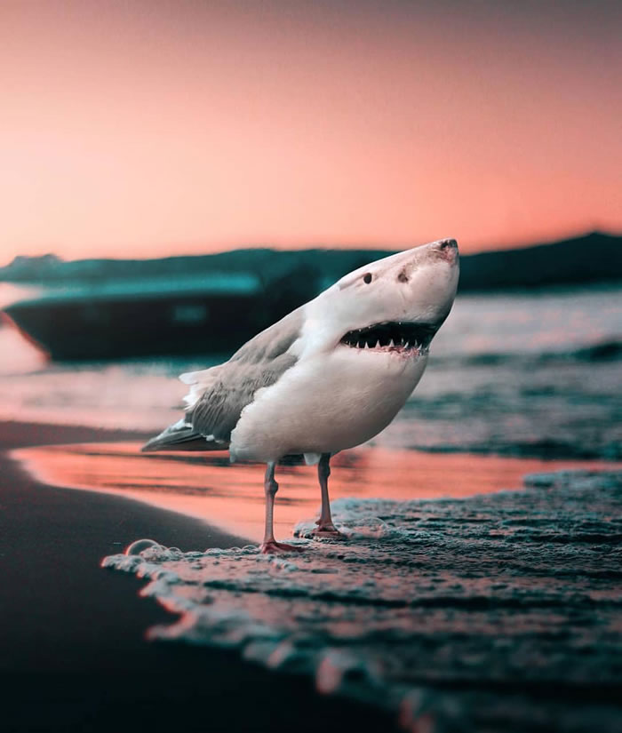 Surreal Photo Manipulations By Ronald Ong