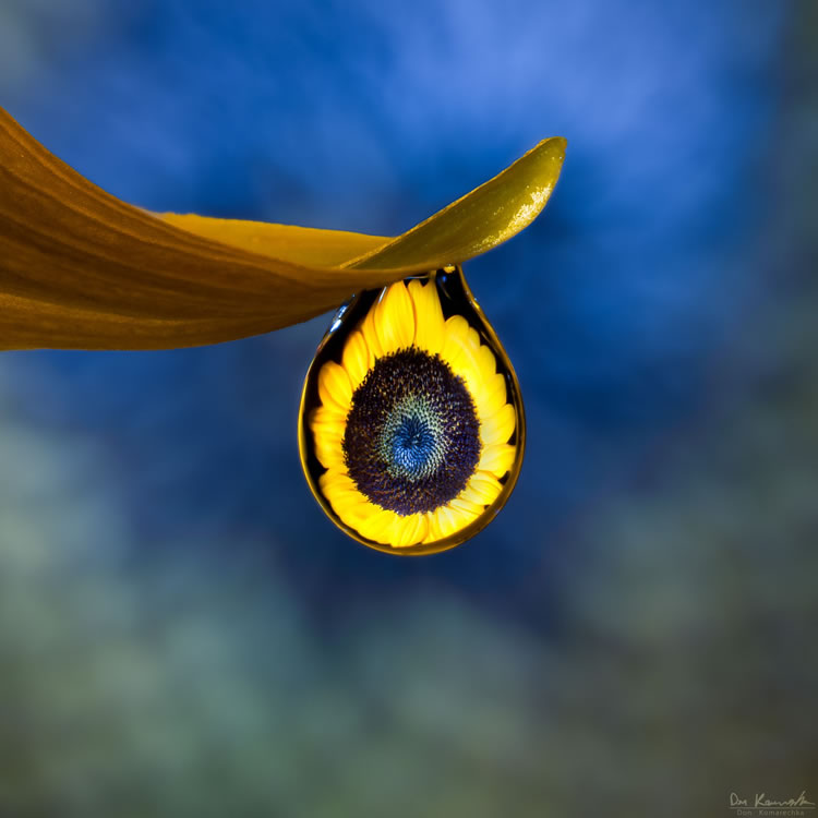 Water Droplets Macro Photography By Don Komarechka