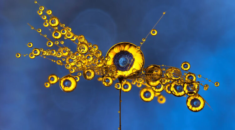 Water Droplets Macro Photography By Don Komarechka