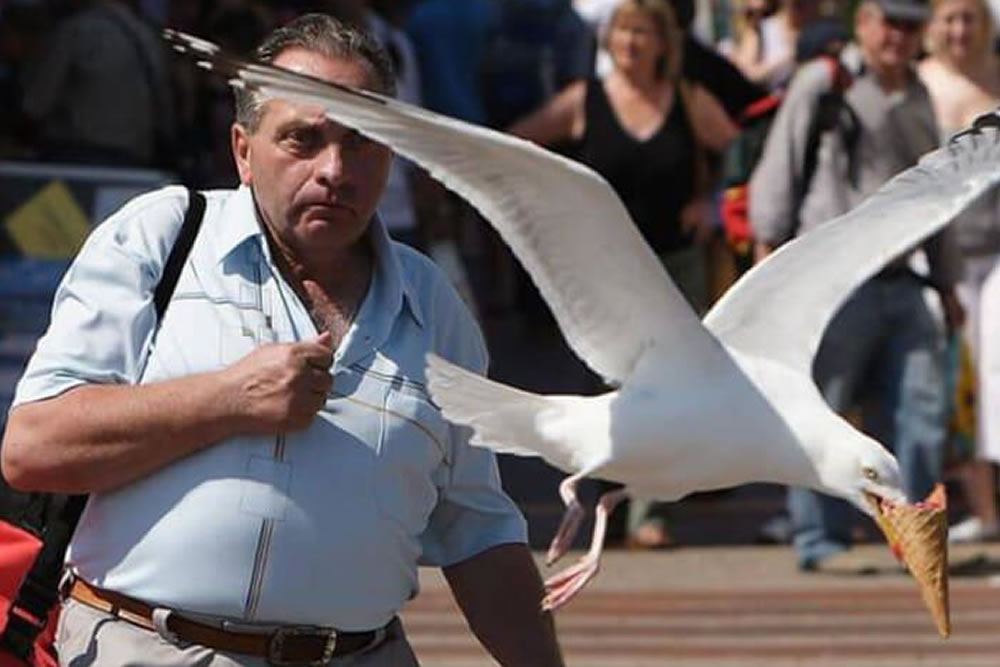 Funniest Moments Photos