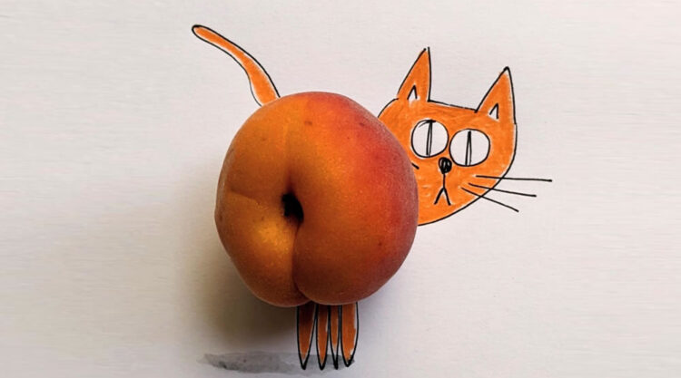 Real-Life Objects With Drawings by Romain Joly