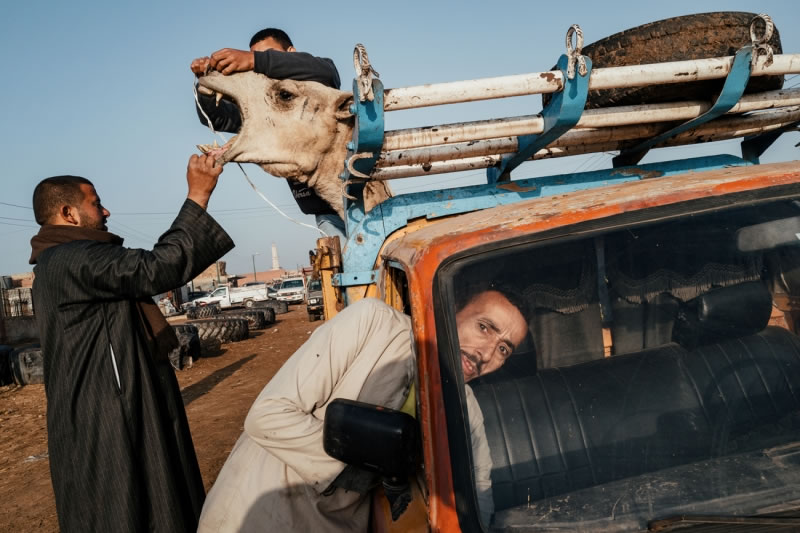 2022 Siena International Photo Awards Winners