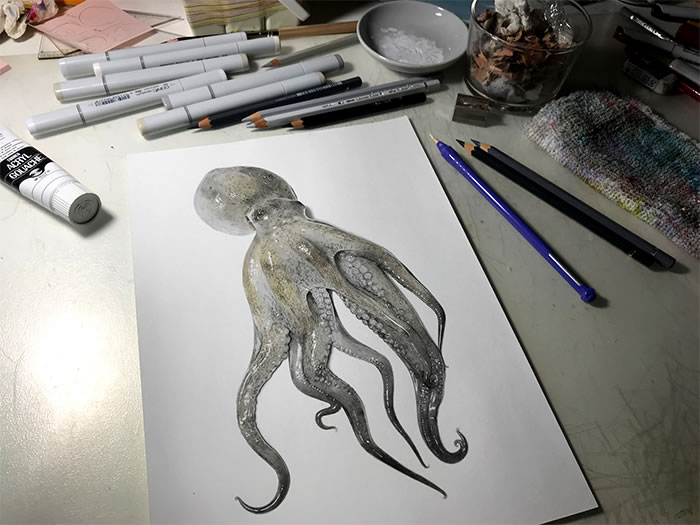 Step-By-Step Process On Drawing A Realistic Octopus