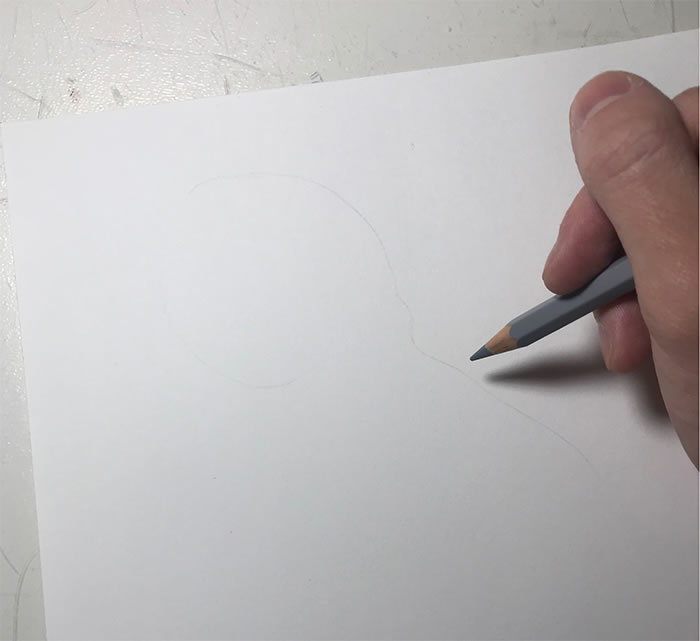 Step-By-Step Process On Drawing A Realistic Octopus