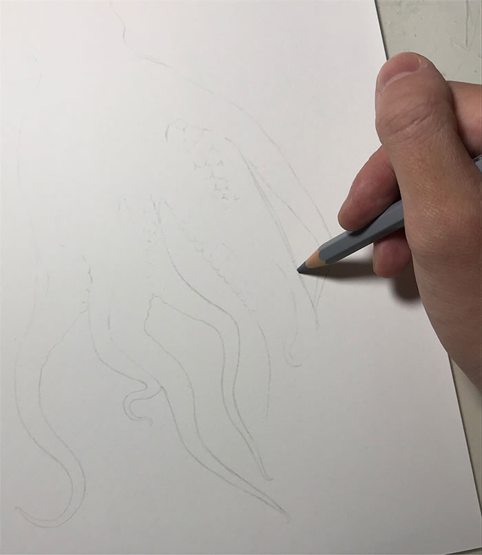 Step-By-Step Process On Drawing A Realistic Octopus