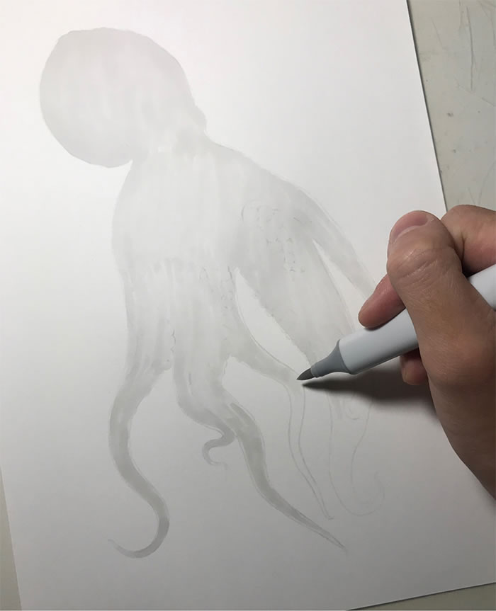 Step-By-Step Process On Drawing A Realistic Octopus