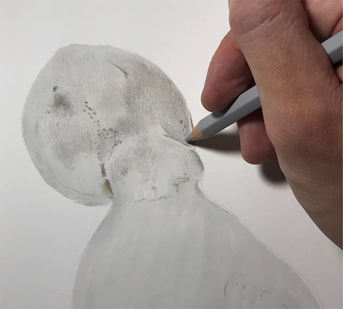 Step-By-Step Process On Drawing A Realistic Octopus