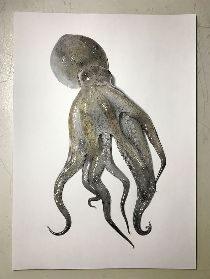 japanese octopus art