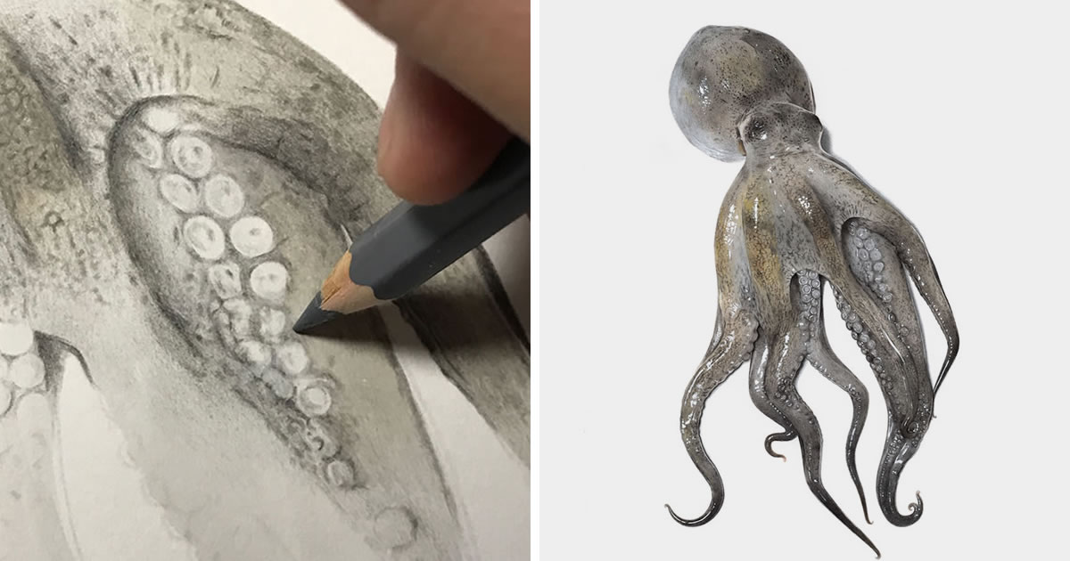 Realistic Octopus - Two Tone - Octopus - Posters and Art Prints | TeePublic