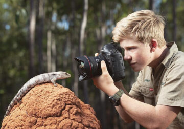 Wildlife Photography by Robert Irwin