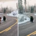 Cyclist chased by bear on snowy road, edited vs original comparison