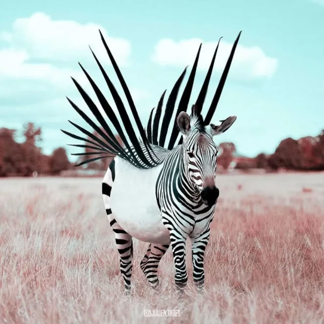 Digital Artist Julien Tabet Creates Photo-Manipulations Of Animals In Surreal Situations