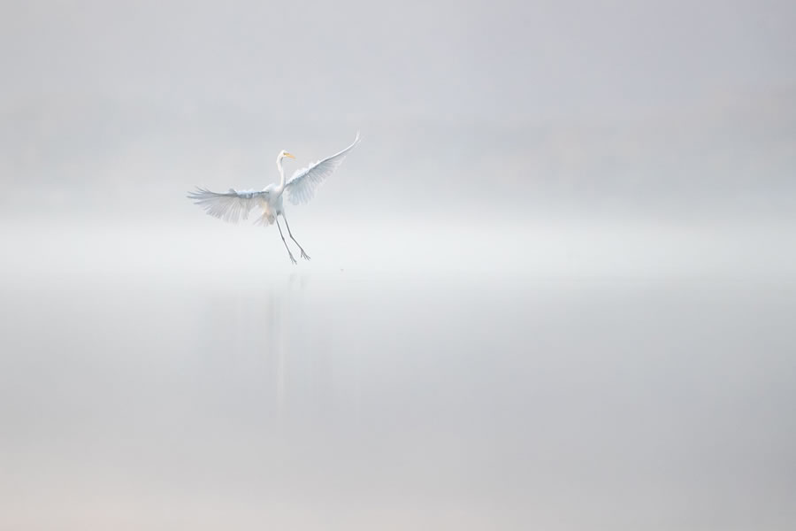 BirdLife Australia Photography Awards 2022