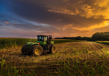 Nature Photography by Fabiano Dossantos