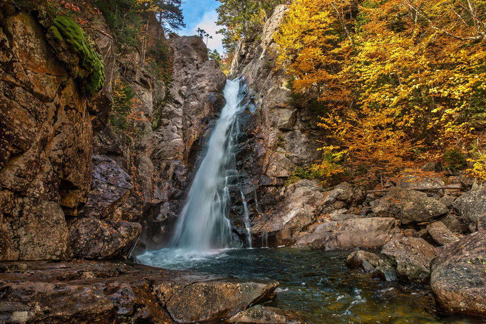 Nature Photography by Fabiano Dossantos