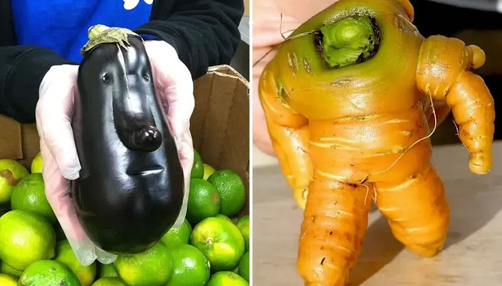 funny shape fruits vegetables