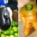 funny shape fruits vegetables