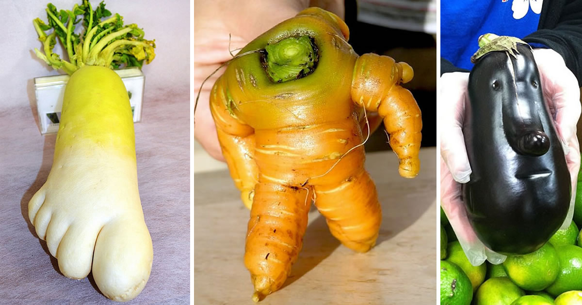 25 Photos Of Unusually Funny-Shaped Fruits And Vegetables