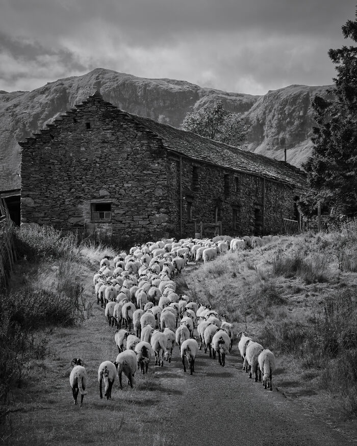 Landscape Photographer Of The Year 2022 Winners