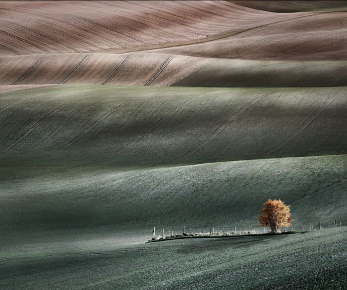 Landscape Photographer Of The Year 2022 Winners