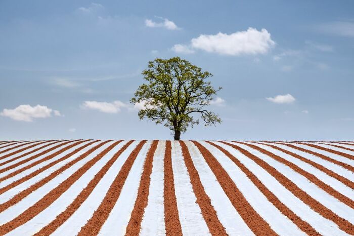 Landscape Photographer Of The Year 2022 Winners