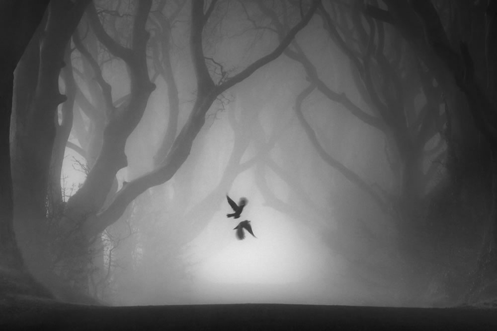 Landscape Photographer Of The Year 2022 Winners