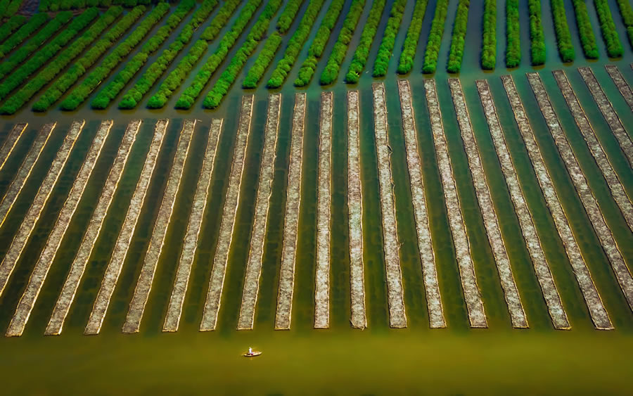 Mangrove Photography Awards 2022