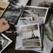 Vintage photos scattered with envelope, tag, and plant on table