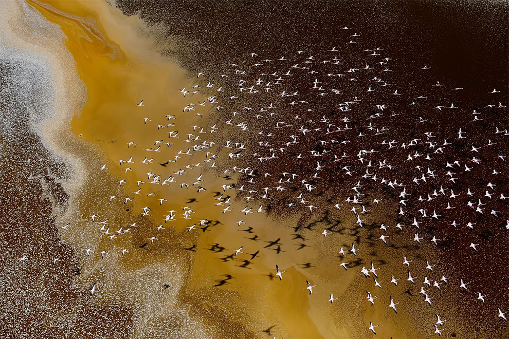 Environmental Photographer Of The Year 2022 Winners