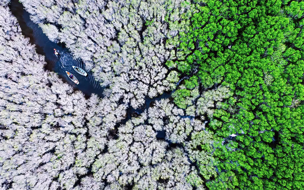 Environmental Photographer Of The Year 2022 Winners