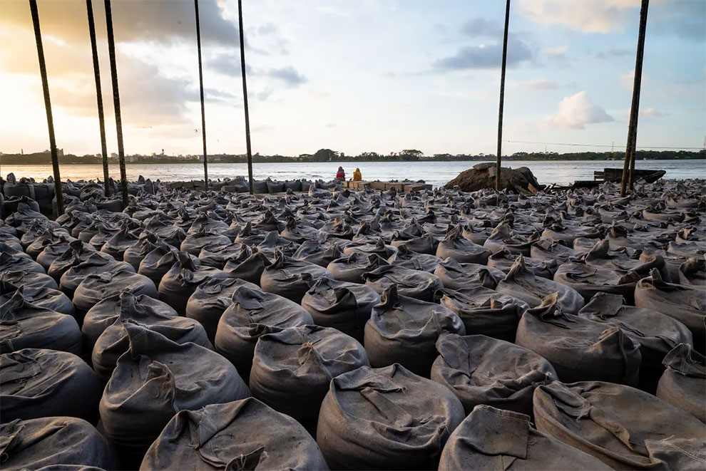 Environmental Photographer Of The Year 2022 Winners