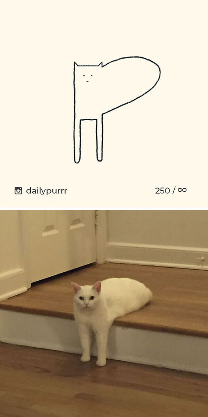 Funny Cat Drawings By Daily Purrr