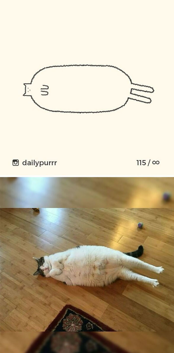 Funny Cat Drawings By Daily Purrr