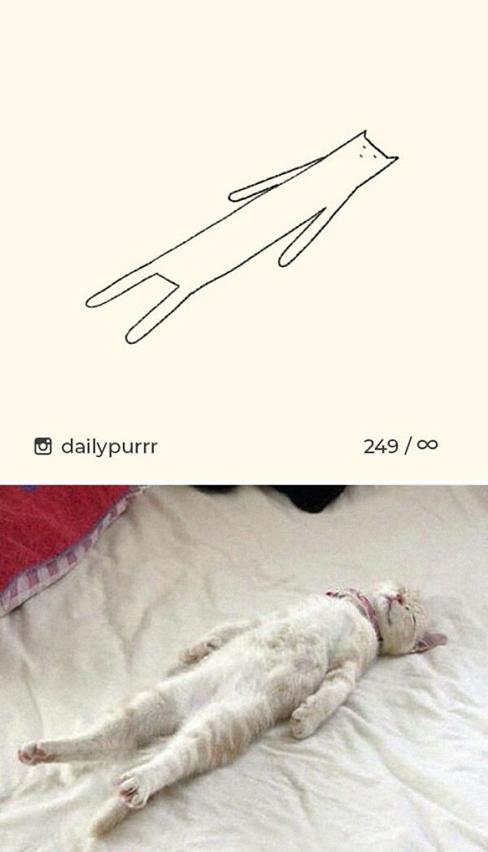 Funny Cat Drawings By Daily Purrr