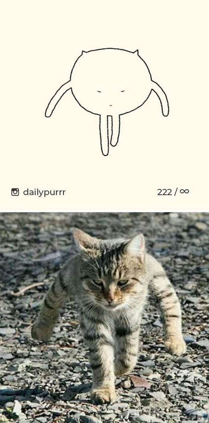 Funny Cat Drawings By Daily Purrr