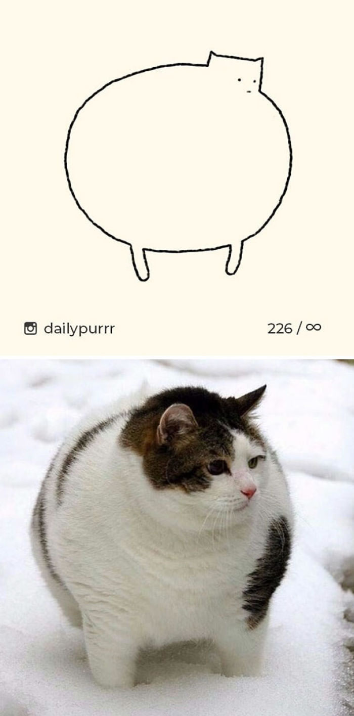 Funny Cat Drawings By Daily Purrr