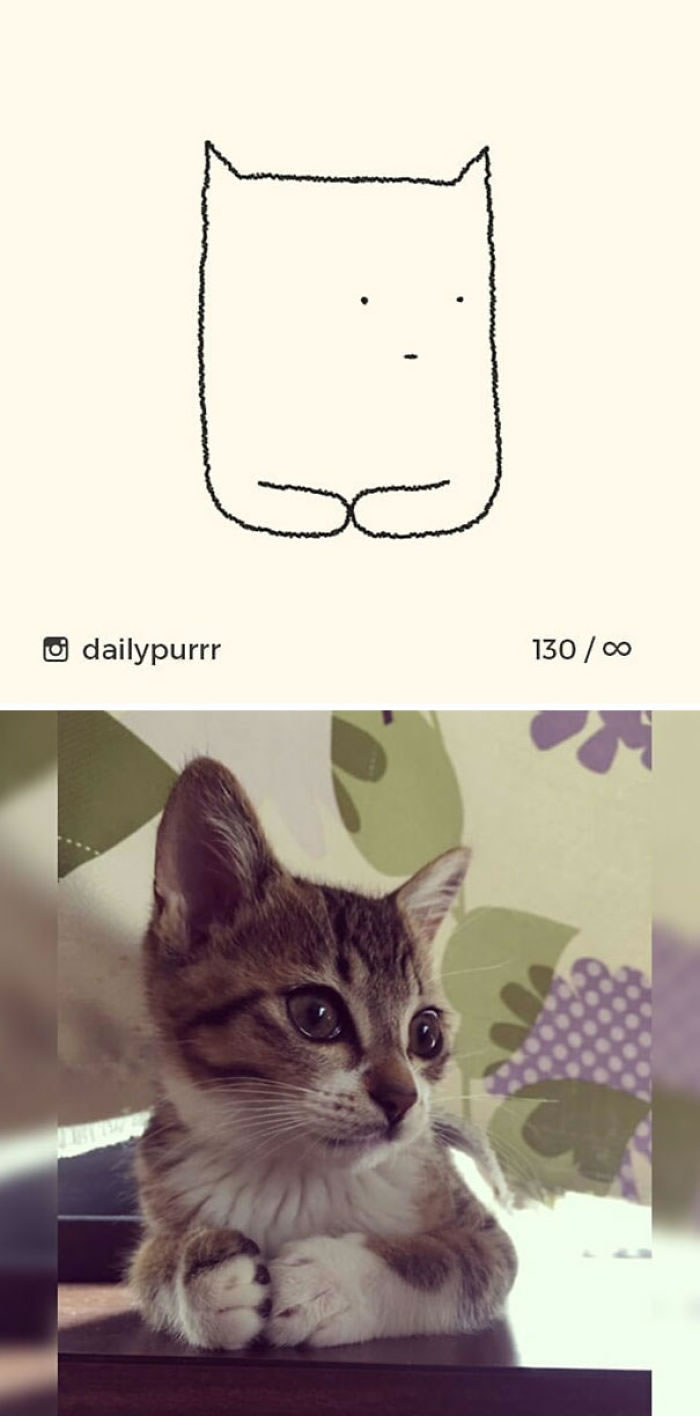 Funny Cat Drawings By Daily Purrr