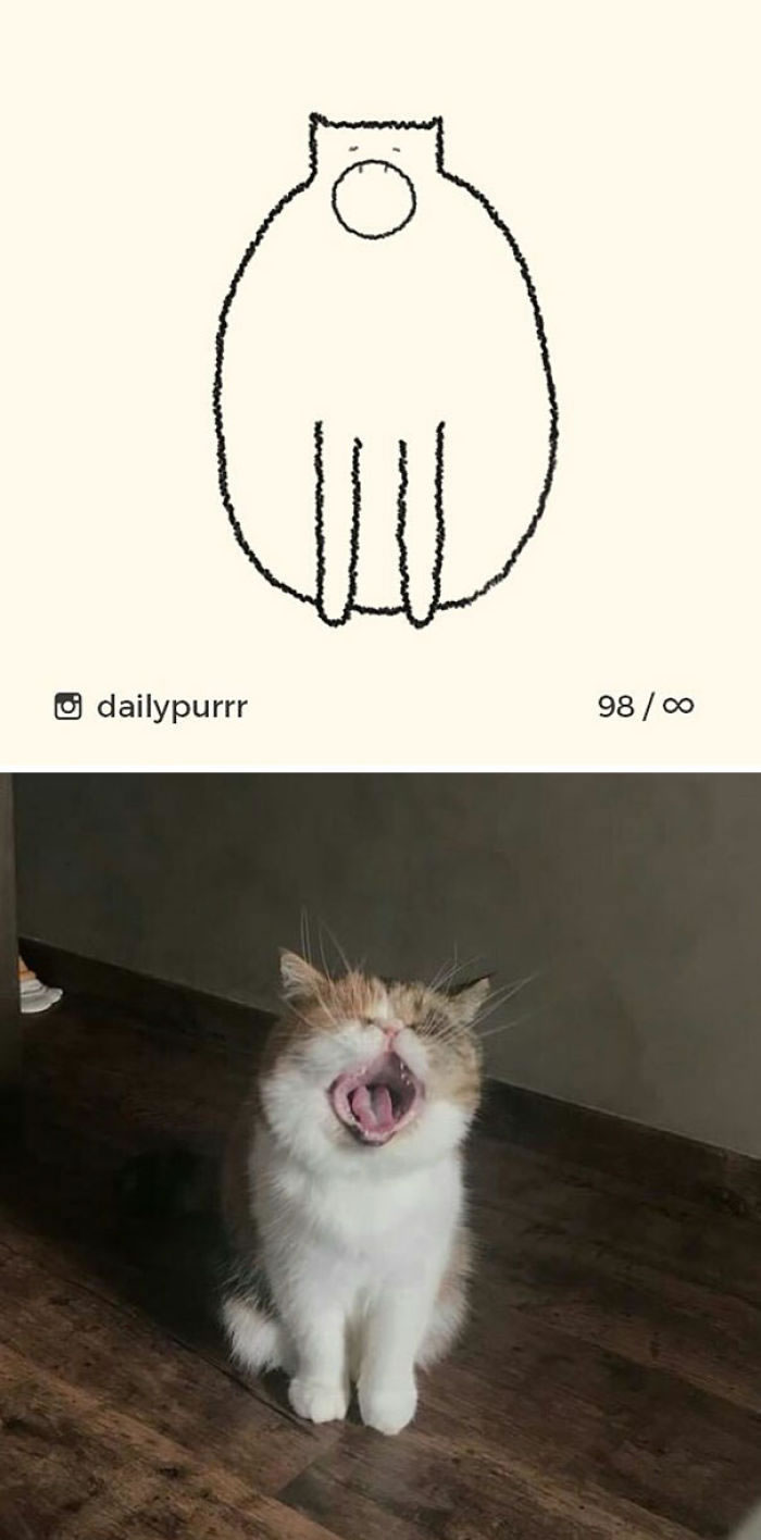 Funny Cat Drawings By Daily Purrr