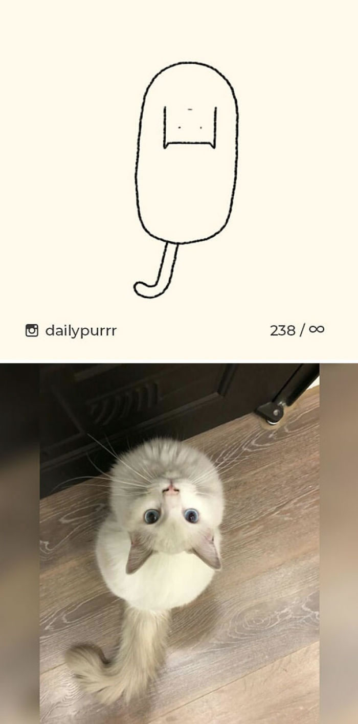 Funny Cat Drawings By Daily Purrr