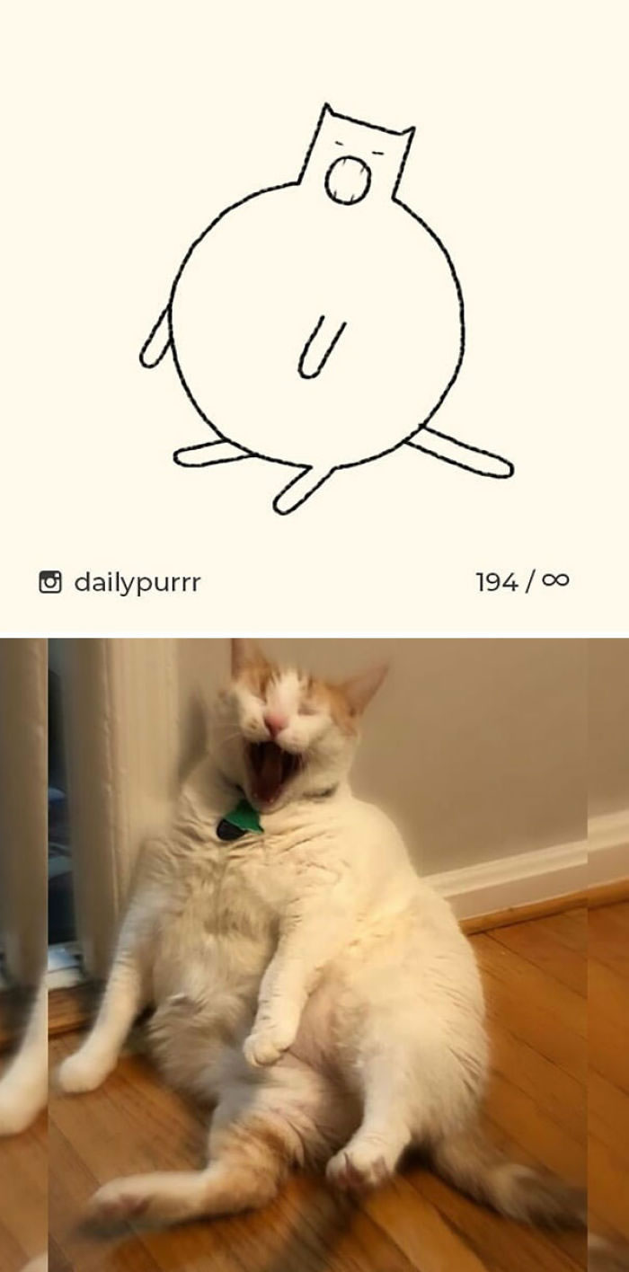 Funny Cat Drawings By Daily Purrr