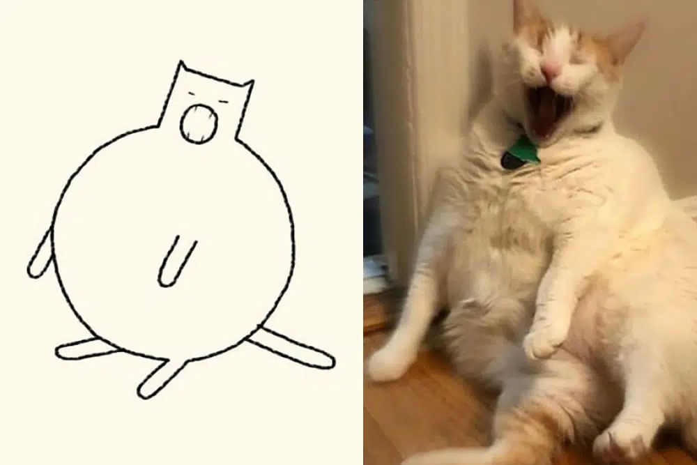 Funny Cat Drawings By Daily Purrr